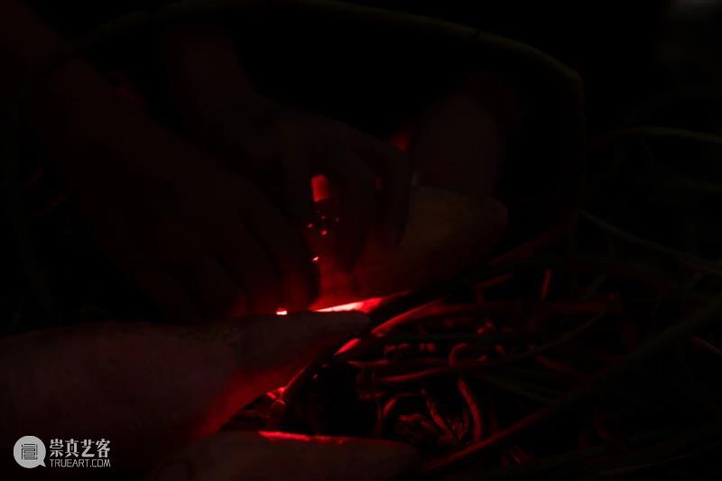 「女性艺术家访谈」周煜嵋：用“红薯”进行一场 “熟悉的叛乱” 崇真艺客