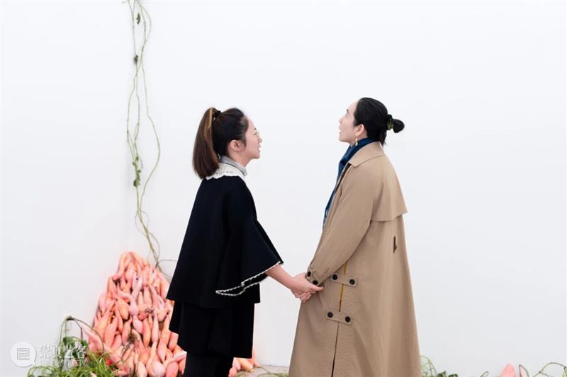 「女性艺术家访谈」周煜嵋：用“红薯”进行一场 “熟悉的叛乱” 崇真艺客