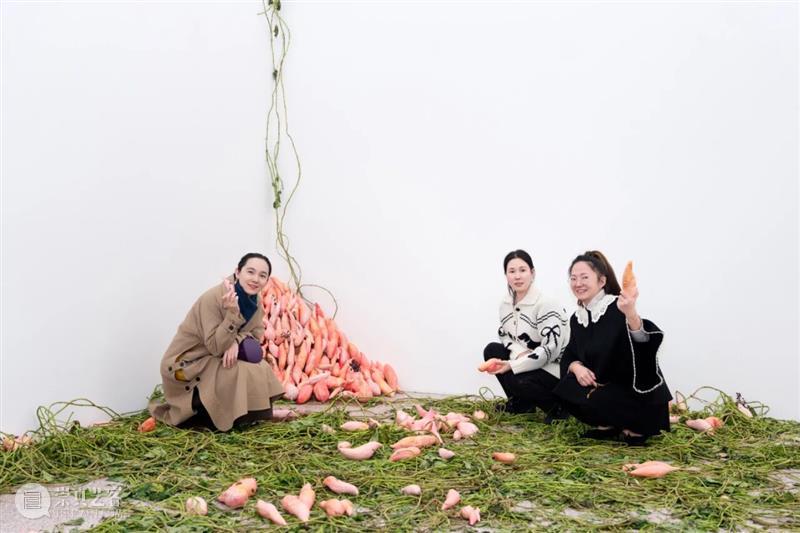 「女性艺术家访谈」周煜嵋：用“红薯”进行一场 “熟悉的叛乱” 崇真艺客
