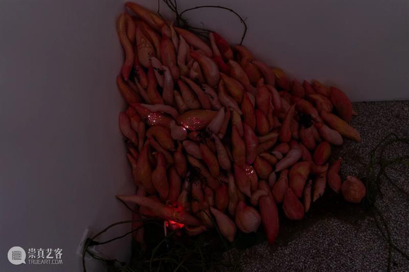 「女性艺术家访谈」周煜嵋：用“红薯”进行一场 “熟悉的叛乱” 崇真艺客