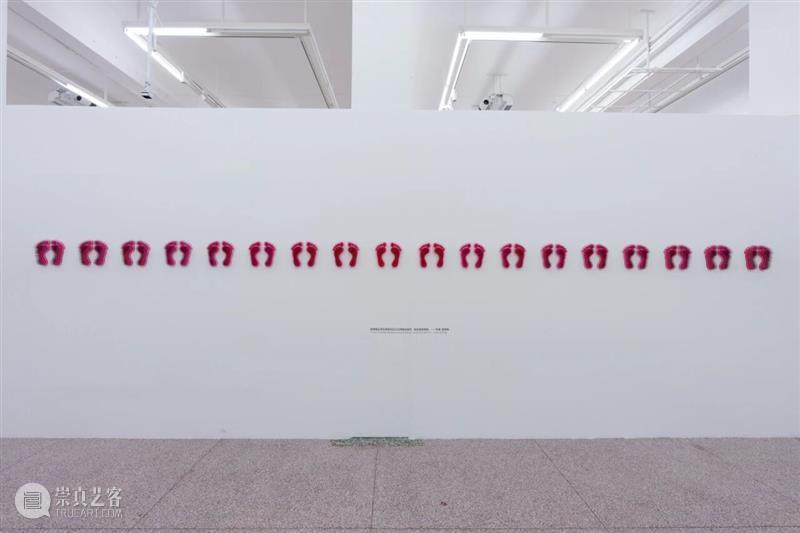 「女性艺术家访谈」哈尼法：我想刺破那些关于女性的幻象 崇真艺客