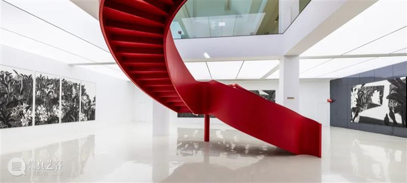 宁波高校“突袭”上海，一场艺术圈的“魔都”登陆战！ 崇真艺客