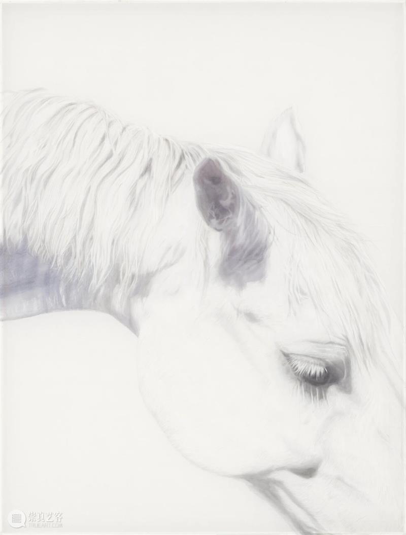 新氧艺 O2art｜李关关个人项目｜展位B26｜第十二届艺术深圳 崇真艺客