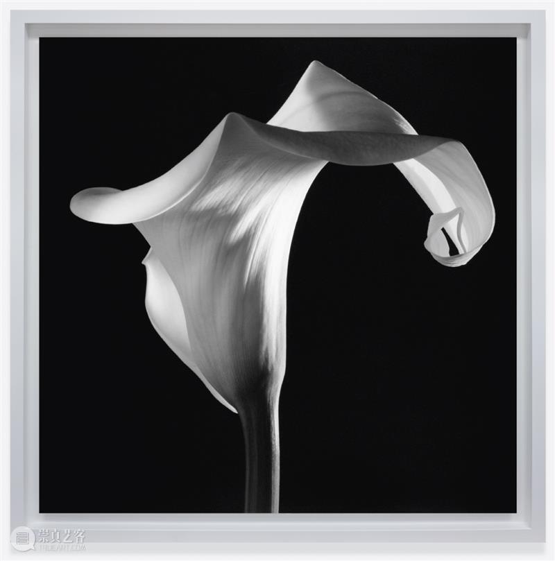 格莱斯顿画廊参加巴塞尔艺术展迈阿密海滩展会2025 | 展位C8 崇真艺客