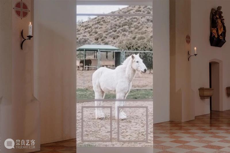 油罐艺术不眠夜2026｜正式开票！一起在美术馆跨年！ 崇真艺客