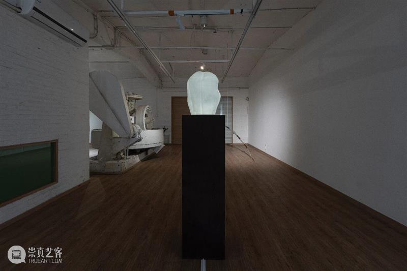 “袅绕——智的齐物”|文/张嘉荣 崇真艺客