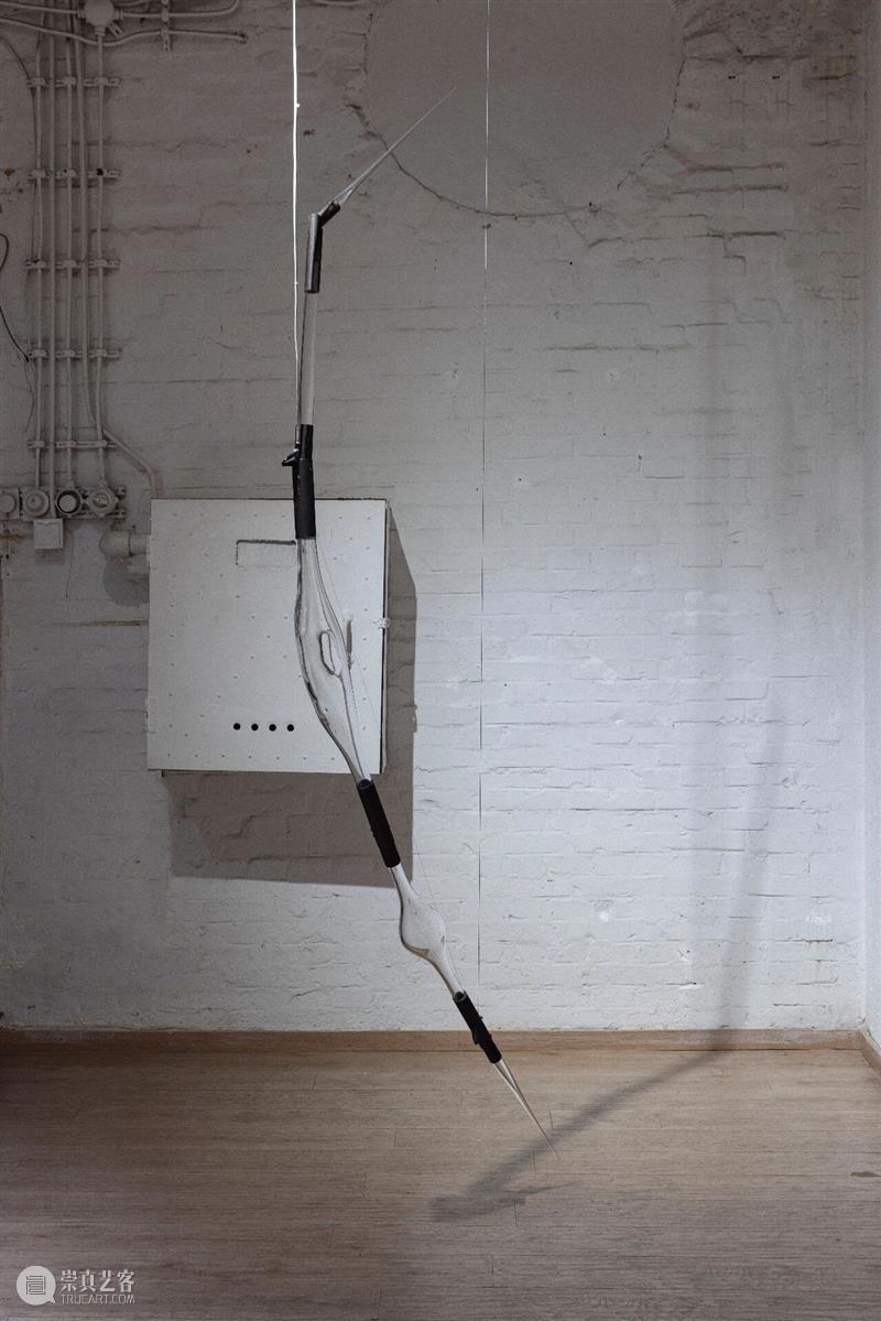 “袅绕——智的齐物”|文/张嘉荣 崇真艺客