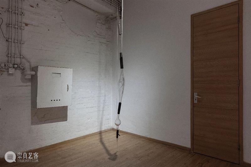 “袅绕——智的齐物”|文/张嘉荣 崇真艺客