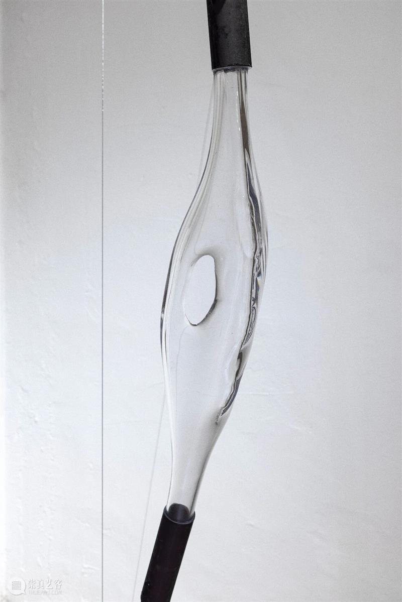 “袅绕——智的齐物”|文/张嘉荣 崇真艺客