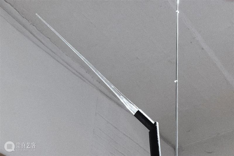 “袅绕——智的齐物”|文/张嘉荣 崇真艺客