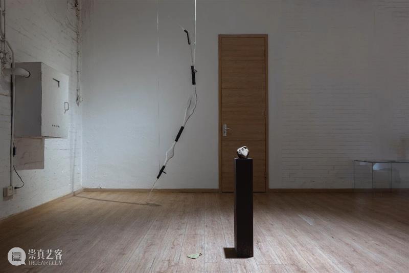 “袅绕——智的齐物”|文/张嘉荣 崇真艺客