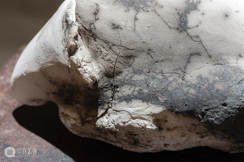 “袅绕——智的齐物”|文/张嘉荣 崇真艺客