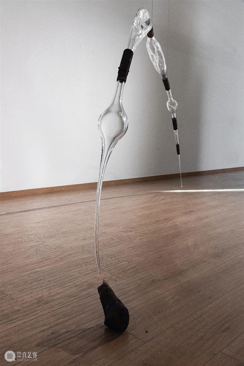 “袅绕——智的齐物”|文/张嘉荣 崇真艺客