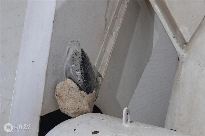 “袅绕——智的齐物”|文/张嘉荣 崇真艺客