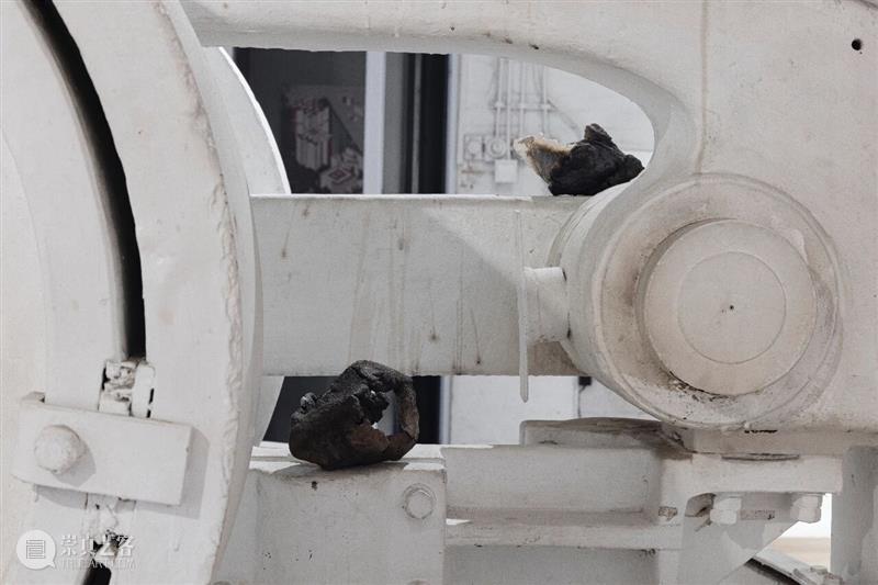 “袅绕——智的齐物”|文/张嘉荣 崇真艺客