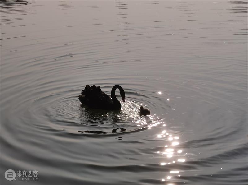 CYE × 刘鼎辉：废墟上的第二次黎明 博文精选  刘鼎辉 崇真艺客