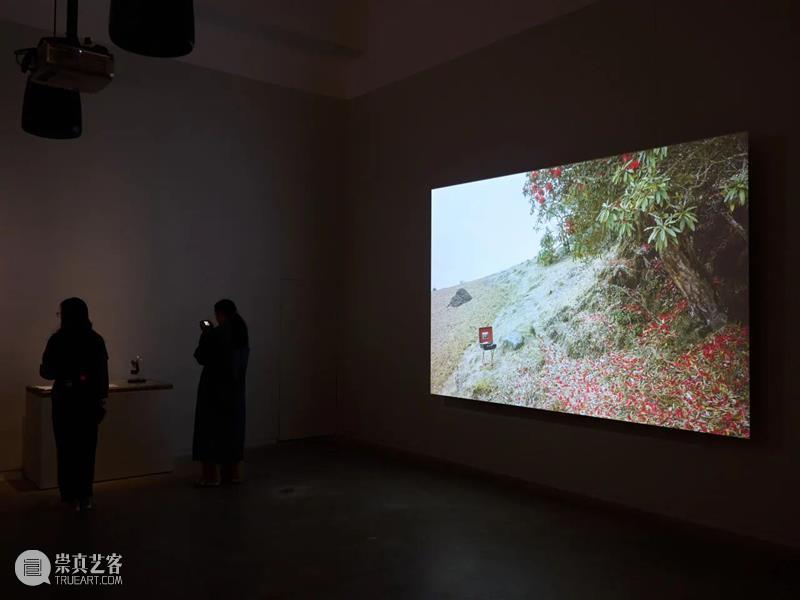 化学博士，从事艺术，他从云南到缅甸，踢着一块石头行走875公里｜上双艺术家专访 视频资讯  崇真艺客