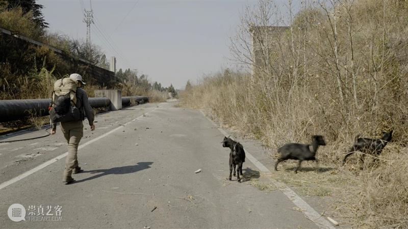 化学博士，从事艺术，他从云南到缅甸，踢着一块石头行走875公里｜上双艺术家专访 视频资讯  崇真艺客
