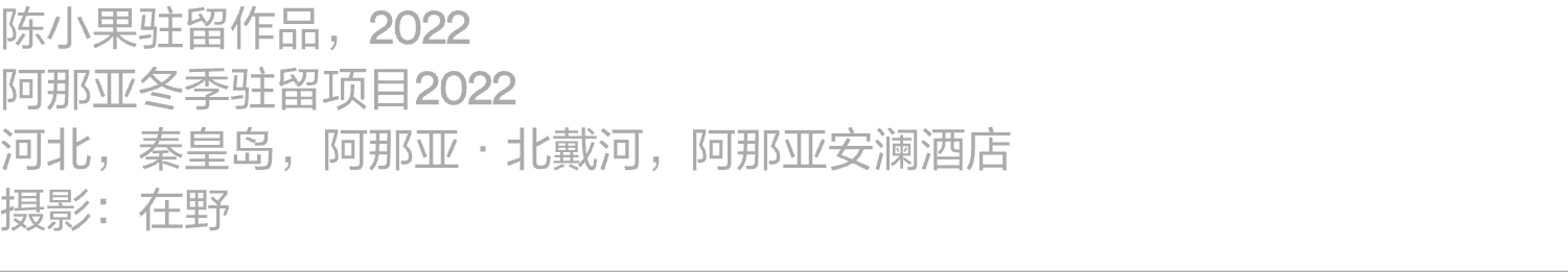 项目｜蒋若禹：阿那亚冬季驻留，驻留作为一种工作路径 崇真艺客