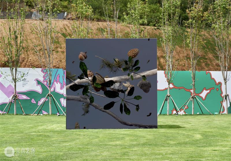 项目｜蒋若禹：阿那亚冬季驻留，驻留作为一种工作路径 崇真艺客