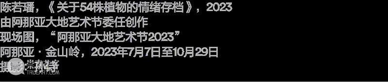 项目｜蒋若禹：阿那亚冬季驻留，驻留作为一种工作路径 崇真艺客