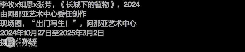项目｜蒋若禹：阿那亚冬季驻留，驻留作为一种工作路径 崇真艺客