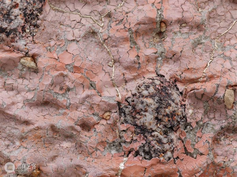 乔伊斯·佩扎罗 (Joyce Pensato)、安永正臣 (Masaomi Yasunaga) | 迈阿密当代艺术学院博物馆 崇真艺客