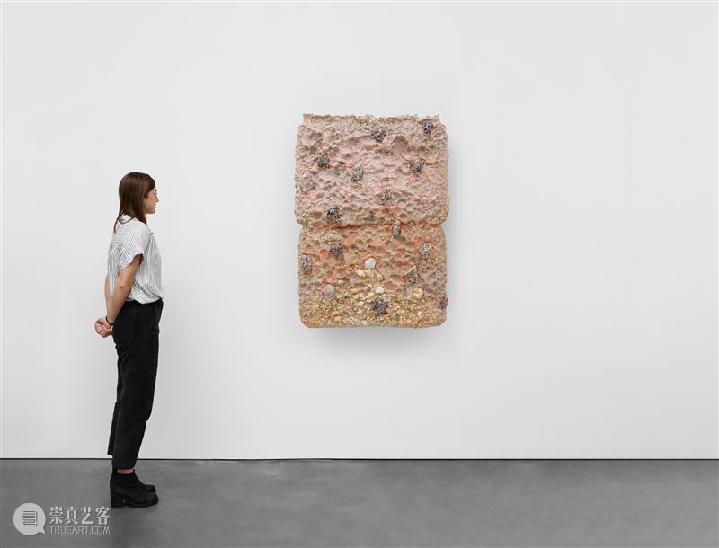 乔伊斯·佩扎罗 (Joyce Pensato)、安永正臣 (Masaomi Yasunaga) | 迈阿密当代艺术学院博物馆 崇真艺客