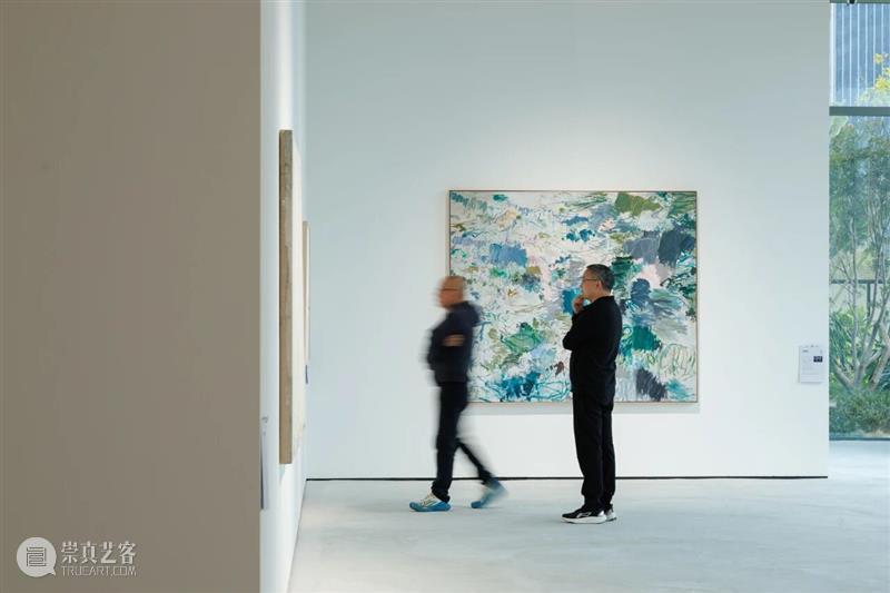 盛大开幕 | 东海岸馆首展“洋流上下——形式诗学与滨海叙事” 崇真艺客