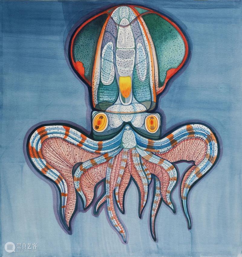 新氧艺O2art｜评论｜凝视、信仰与博物学：关于陈督兮的生物系列绘画?｜文 / 丛涛 崇真艺客