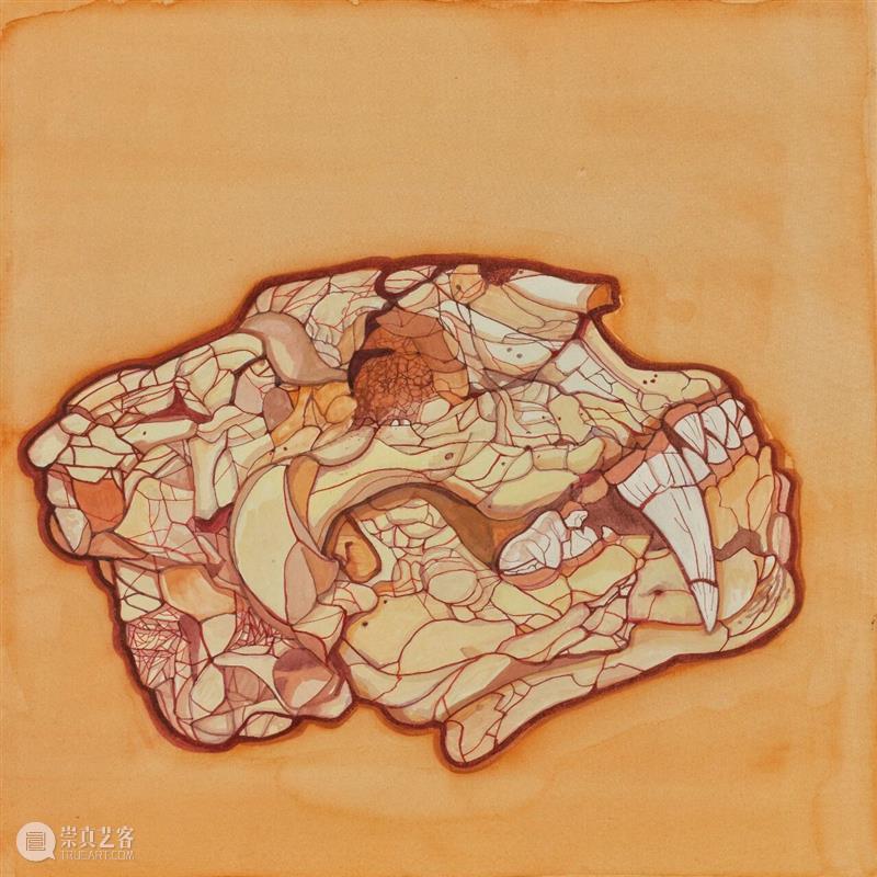 新氧艺O2art｜评论｜凝视、信仰与博物学：关于陈督兮的生物系列绘画?｜文 / 丛涛 崇真艺客