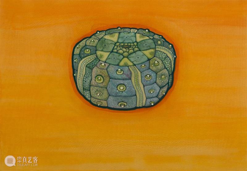 新氧艺O2art｜评论｜凝视、信仰与博物学：关于陈督兮的生物系列绘画?｜文 / 丛涛 崇真艺客