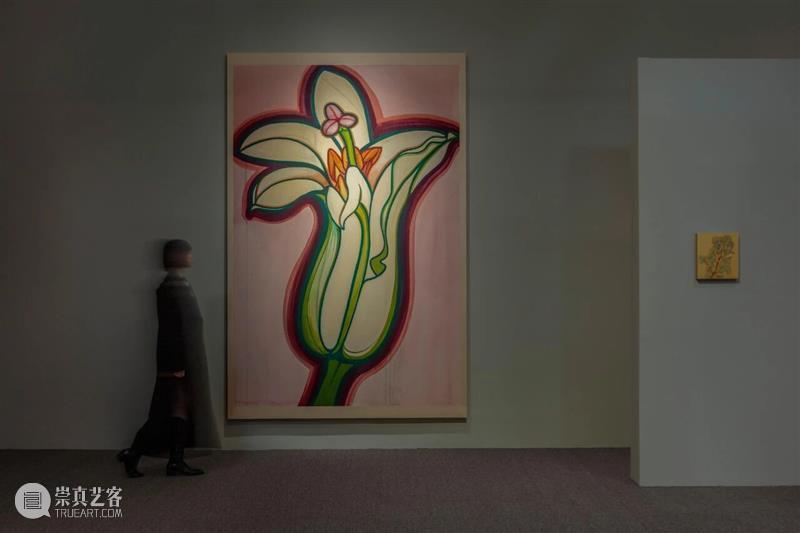 新氧艺O2art｜评论｜凝视、信仰与博物学：关于陈督兮的生物系列绘画?｜文 / 丛涛 崇真艺客