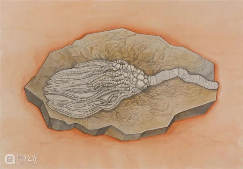 新氧艺O2art｜评论｜凝视、信仰与博物学：关于陈督兮的生物系列绘画?｜文 / 丛涛 崇真艺客