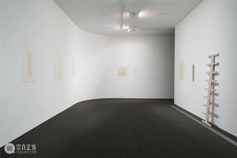 光影流转的律动与冥思——“林金：枕水漱石”正在UCCA沙丘展出 崇真艺客