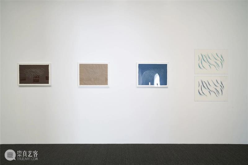 光影流转的律动与冥思——“林金：枕水漱石”正在UCCA沙丘展出 崇真艺客