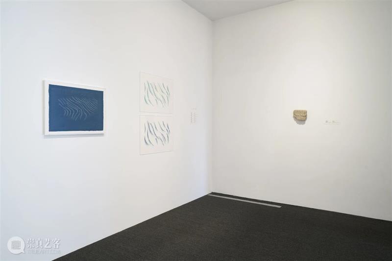 光影流转的律动与冥思——“林金：枕水漱石”正在UCCA沙丘展出 崇真艺客