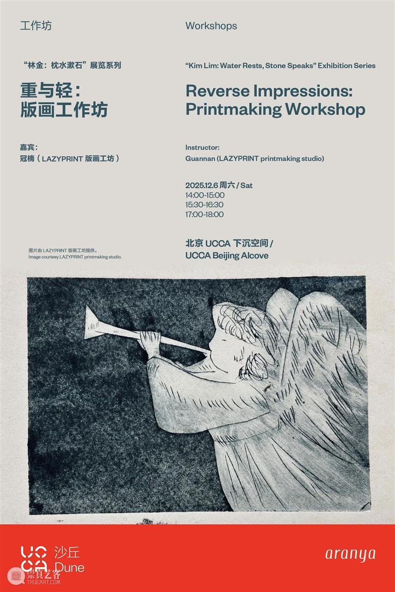 光影流转的律动与冥思——“林金：枕水漱石”正在UCCA沙丘展出 崇真艺客