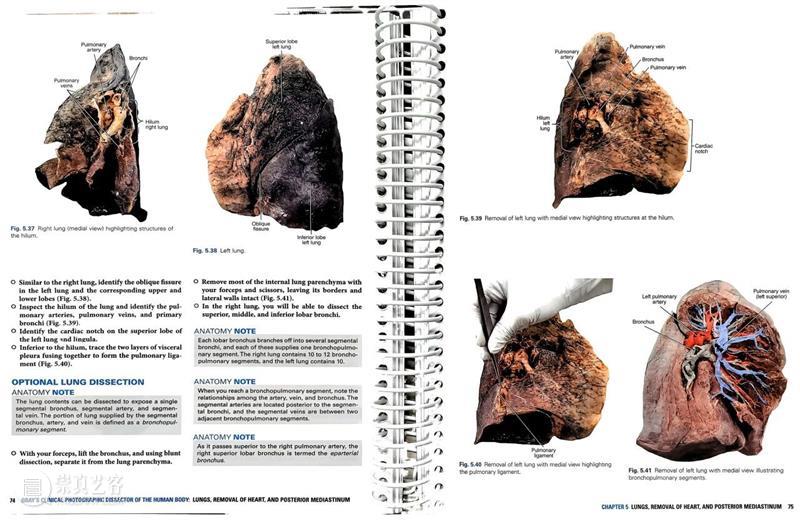 ASE荐书｜展览特别呈现：医学档案单元书籍特辑（二） 崇真艺客