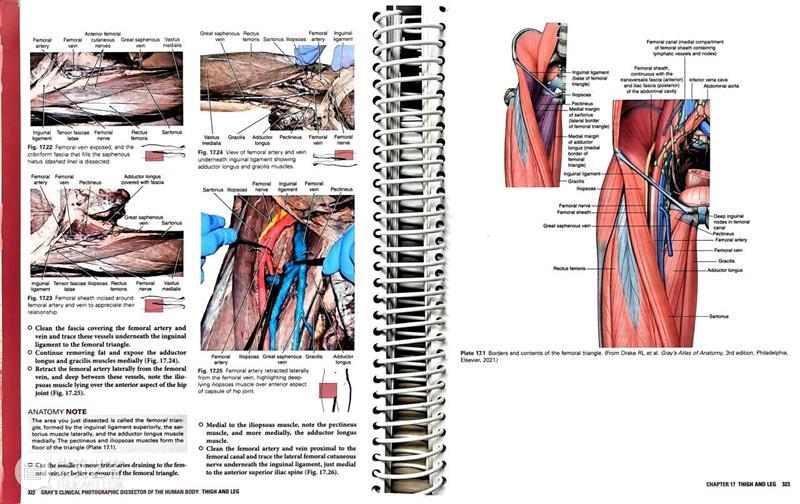 ASE荐书｜展览特别呈现：医学档案单元书籍特辑（二） 崇真艺客