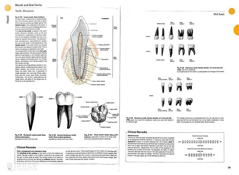 ASE荐书｜展览特别呈现：医学档案单元书籍特辑（二） 崇真艺客