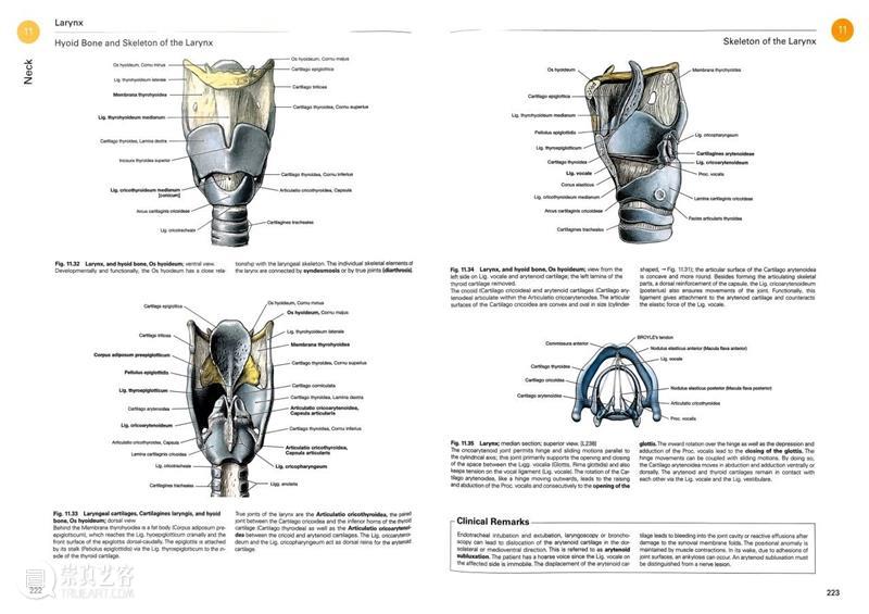 ASE荐书｜展览特别呈现：医学档案单元书籍特辑（二） 崇真艺客