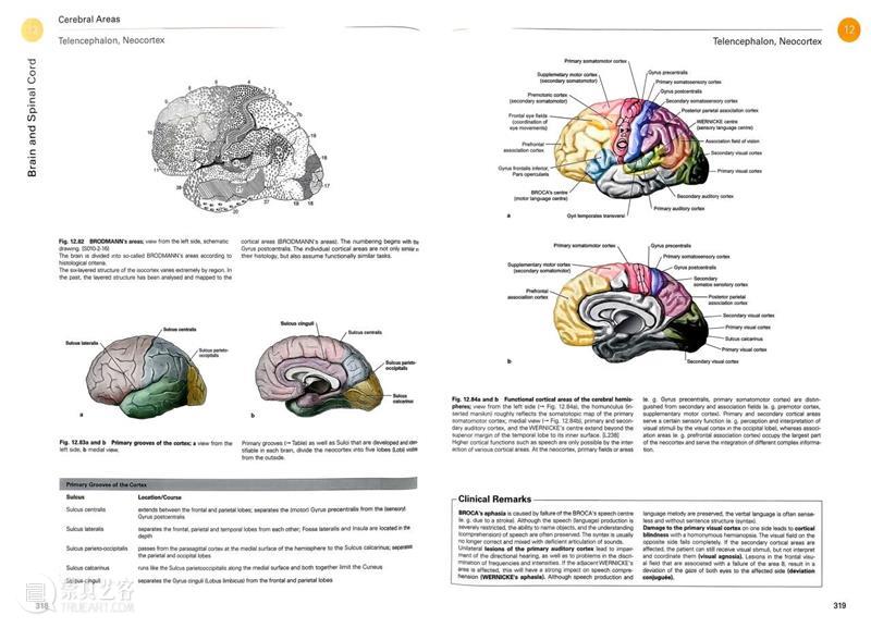 ASE荐书｜展览特别呈现：医学档案单元书籍特辑（二） 崇真艺客