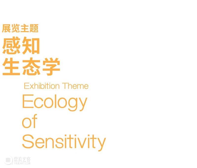 品牌大展｜感知生态学：广州影像三年展 2025 Guangzhou Image Triennial 2025 崇真艺客