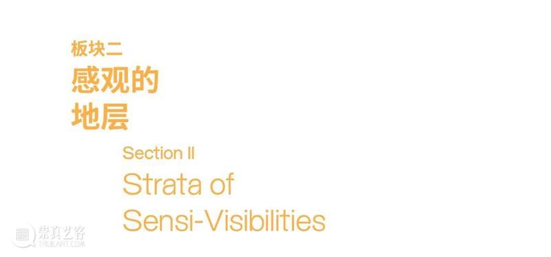 品牌大展｜感知生态学：广州影像三年展 2025 Guangzhou Image Triennial 2025 崇真艺客