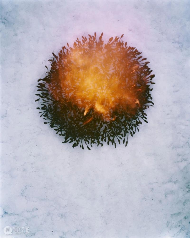 品牌大展｜感知生态学：广州影像三年展 2025 Guangzhou Image Triennial 2025 崇真艺客