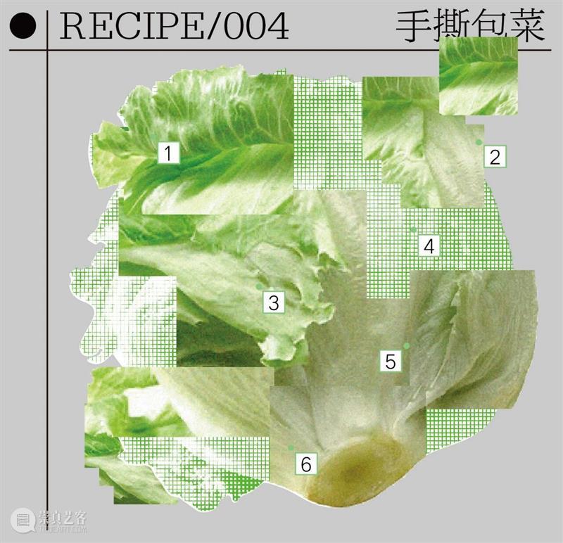 品牌大展｜感知生态学：广州影像三年展 2025 Guangzhou Image Triennial 2025 崇真艺客