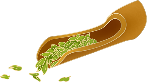 A2M KIDS｜【小小茶艺师】第十堂：一盏茶的时光——感恩与传承亲子茶会 崇真艺客