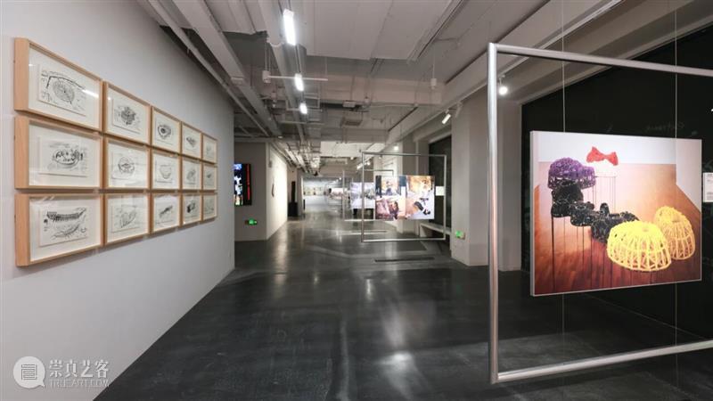 特别项目 | 上海戏剧学院正在呈现展览“回 - 2025陈箴艺术展” 崇真艺客