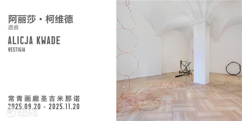 特别项目 | 上海戏剧学院正在呈现展览“回 - 2025陈箴艺术展” 崇真艺客
